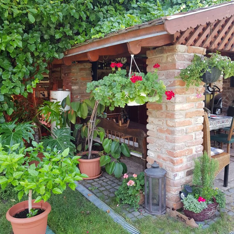 Daróczi-Dajka Hajnalka kertje 01